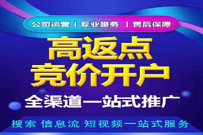 谷歌竞价案例：跨境电商广告投放策略